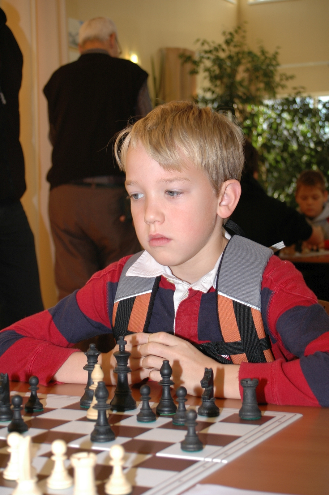 Vorschau